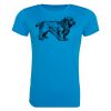 AWDis Ladies Cool T-Shirt Thumbnail