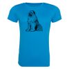 AWDis Ladies Cool T-Shirt Thumbnail