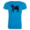 AWDis Ladies Cool T-Shirt Thumbnail
