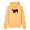 Unisex Cruiser 2.0 iconic hoodie sweatshirt (STSU177) Thumbnail