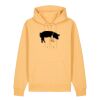 Unisex Cruiser 2.0 iconic hoodie sweatshirt (STSU177) Thumbnail