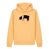 Unisex Cruiser 2.0 iconic hoodie sweatshirt (STSU177) Thumbnail