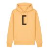 Unisex Cruiser 2.0 iconic hoodie sweatshirt (STSU177) Thumbnail