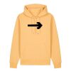 Unisex Cruiser 2.0 iconic hoodie sweatshirt (STSU177) Thumbnail