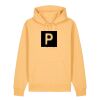 Unisex Cruiser 2.0 iconic hoodie sweatshirt (STSU177) Thumbnail