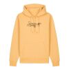 Unisex Cruiser 2.0 iconic hoodie sweatshirt (STSU177) Thumbnail