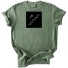 Comfort Colors 1717 Heavyweight adult t-shirt Thumbnail