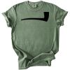 Comfort Colors 1717 Heavyweight adult t-shirt Thumbnail